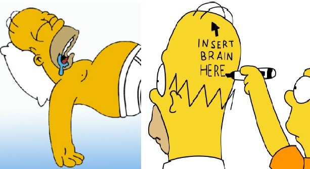 homer simpsons-prosecni srbin.jpg, 55 KB